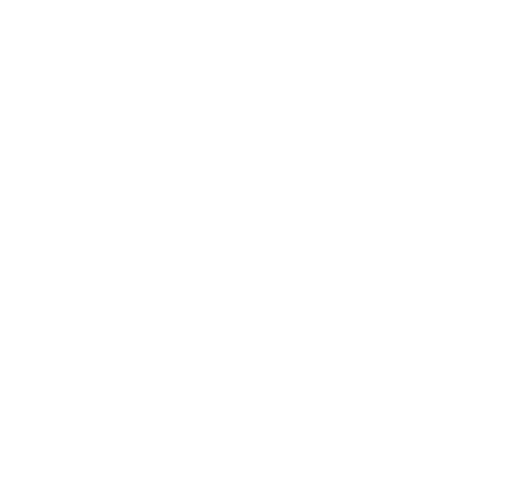 100% artesanal la vaquita machaca