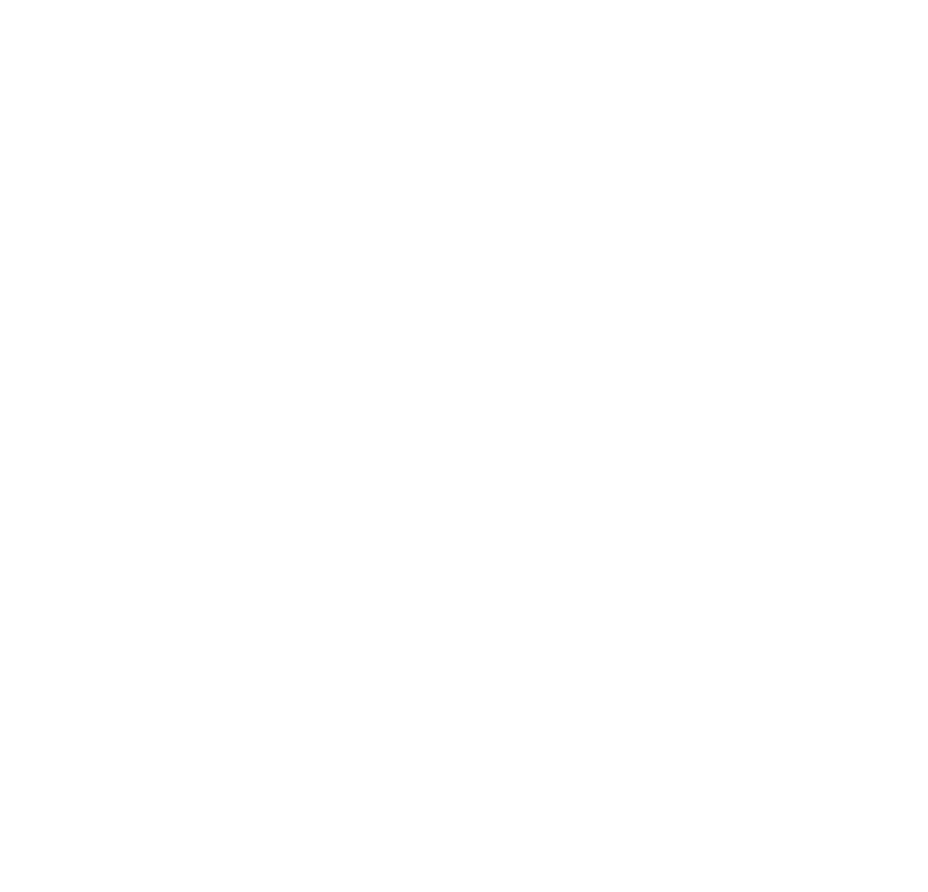 hecho en mexico la vaquita machaca sinaloa